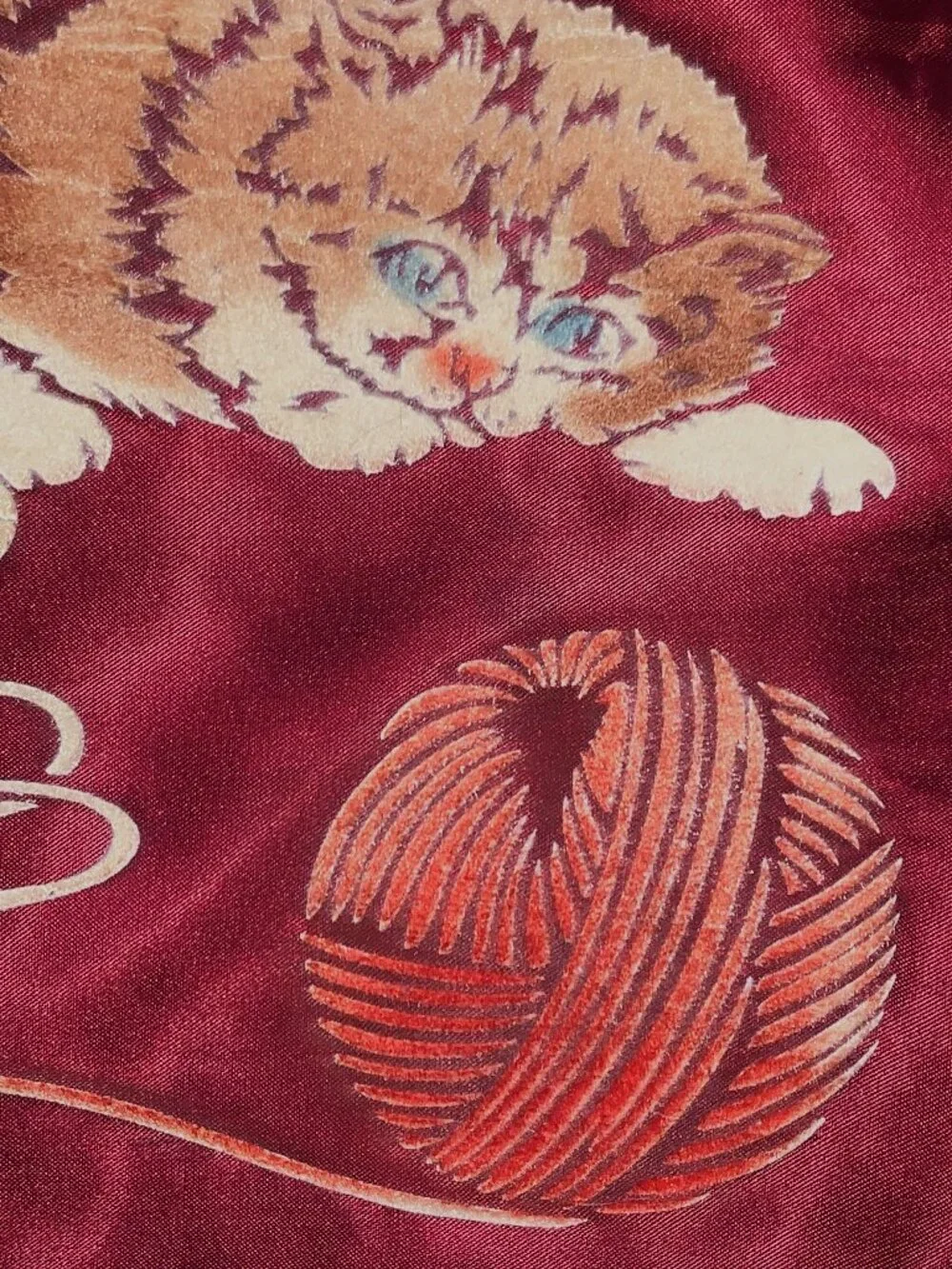 Vintage Hope BC Souvenir Pillow Cover 16